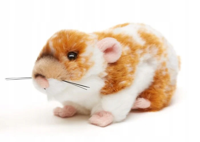 Tuotekuva 1