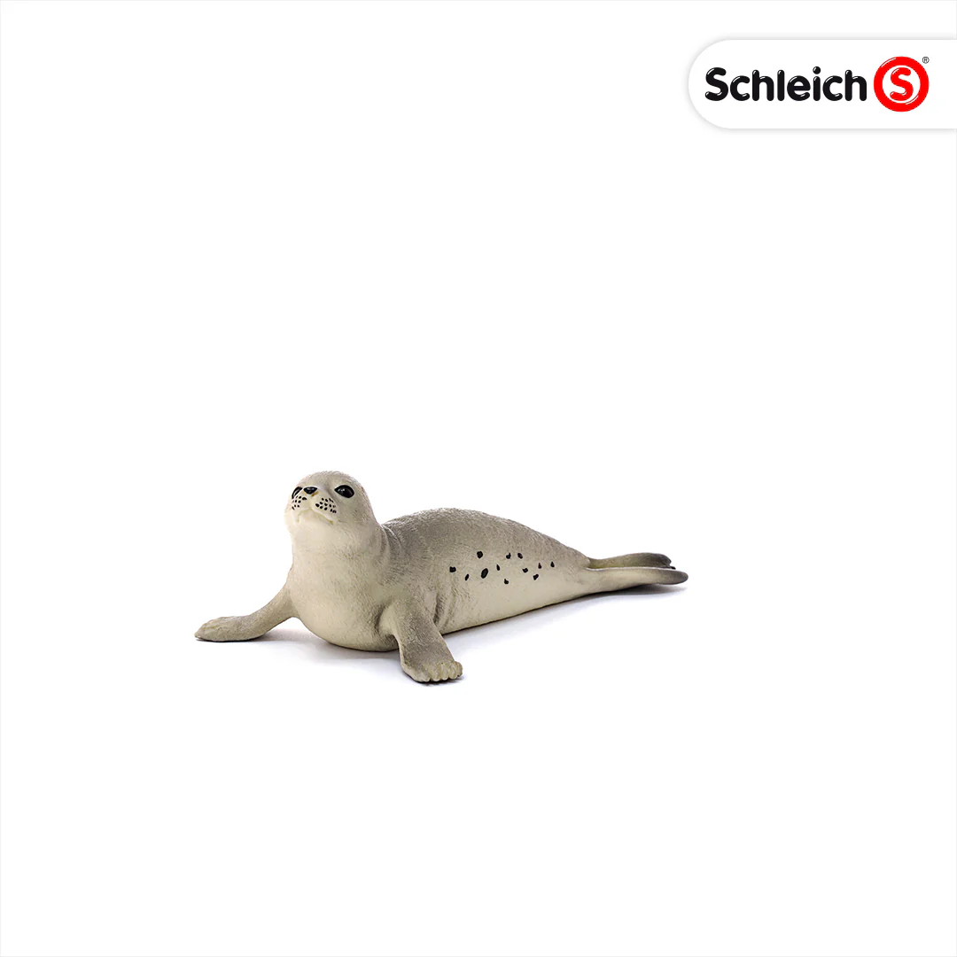 Pikkukuva 1