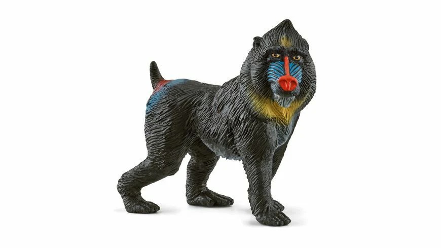 Tuotekuva 1